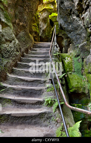 Schwedenloecher percorso escursionistico, scale che portano al bastione, Rathen, Svizzera Sassone, Sassonia Foto Stock