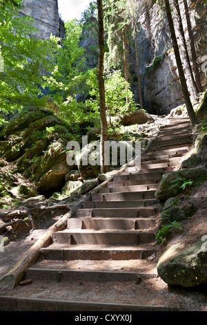 Schwedenloecher percorso escursionistico, scale che portano al bastione, Rathen, Svizzera Sassone, Sassonia Foto Stock