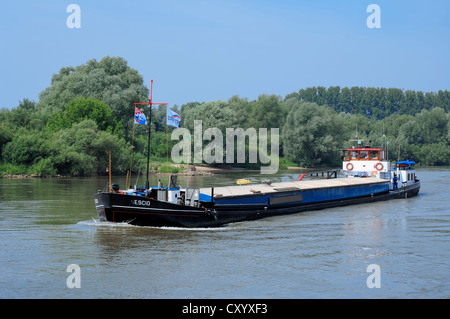 Nave sul fiume Reno nei pressi di Arnheim noto anche come Arnhem, provincia di Gelderland, Paesi Bassi, Europa Foto Stock