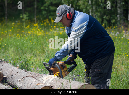 Uomo anziano il taglio di un registro di abete rosso con chainsaw , Finlandia Foto Stock