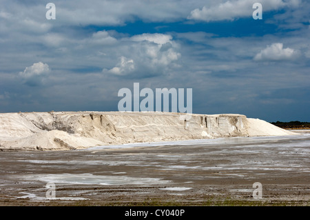 Montaggio di sale in acqua di mare Saline di Salins du Midi in salin de giraud, Arles, Francia, Europa Foto Stock