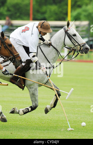 Due giocatori di polo in lotta per la sfera, Ebreichsdorf, Austria Inferiore, Austria, Europa Foto Stock