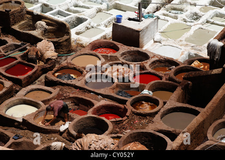 Concerie tradizionali e opere di colorante in Fès, Fez, Fès-Boulemane, Marocco, Africa del Nord, il Maghreb, Africa Foto Stock