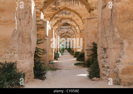 Bassin Agdal, Bassin de l'Agdal, scuderie reali di Moulay Ismail, Meknes, Meknès-Tafilalet, Marocco, Africa del Nord, Magreb Foto Stock