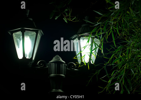 Immagine notturna della lampada vicino. Giardino decorativo nella notte. Foto Stock