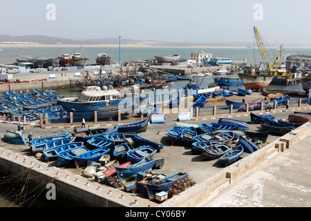 Barche da pesca al porto di Essaouira, regione Marrakech-Tensift-Al Haouz, Marocco, Maghreb, Africa Foto Stock