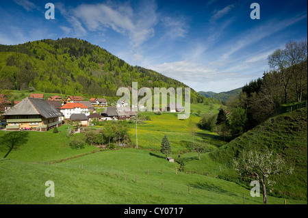 Praeg vicino a Todtnau, Foresta Nera, Baden-Wuerttemberg Foto Stock