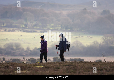 Una coppia di anziani godetevi un pomeriggio escursione al sole tenendo in vista di una nuova foresta. Foto Stock