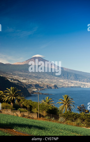 Costa Nord e la vetta del Monte Teide, vicino Tacoronte, Tenerife, Isole Canarie, Spagna, Europa Foto Stock