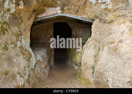 Necropoli Etrusca di Madonna dell'Olivo, tomba di famiglia Curunas, Tuscania, provincia di Viterbo, Lazio, Italia Foto Stock