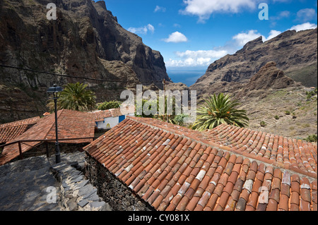 Tetti e Masca Gorge, Masca, Teno montagne, Tenerife, Isole Canarie, Spagna, Europa Foto Stock