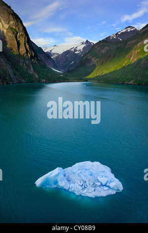 Il ghiaccio galleggiante in Tracy Arm Fjord, Tongass National Forest, Alaska, STATI UNITI D'AMERICA Foto Stock