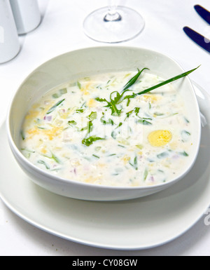 Freddo russo zuppa di verdure su yogurt (sour-latte) base - okroshka Foto Stock