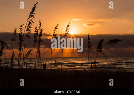 Sunrise presso la spiaggia su Hilton Head Island, SC Foto Stock