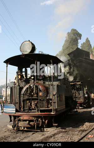 Vintage British-costruito B Classe a scartamento ridotto locomotive a vapore (noto anche come il trenino) a Darjeeling stazione capannone motore Foto Stock