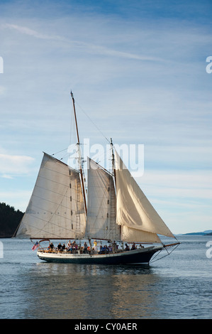 La goletta classica 'spike Africa' vela attraverso il San Juan Isole di Puget Sound nello Stato di Washington, USA. Foto Stock