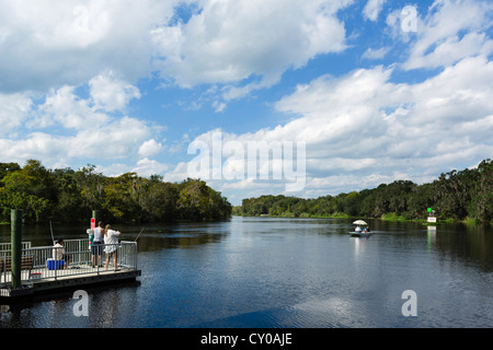 Il St Johns fiume nella molla blu parco statale, vicino alla Città di arancia, Central Florida, Stati Uniti d'America Foto Stock