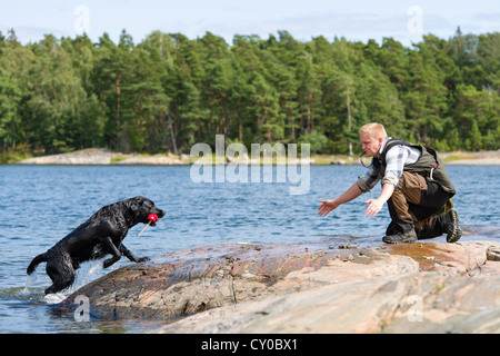 Il Labrador retriever recuperare un dummy per il suo proprietario Foto Stock