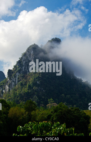 Nebbia di foresta pluviale indugia nella formazione carsica di Khao Sok NATIONAL PARK - SURAI THANI PROVENCE, Thailandia Foto Stock