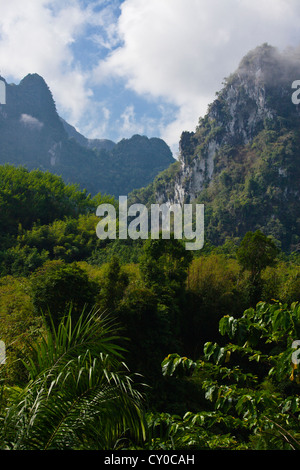 Nebbia di foresta pluviale indugia nella formazione carsica di Khao Sok NATIONAL PARK - SURAI THANI PROVENCE, Thailandia Foto Stock