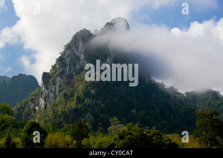 Nebbia di foresta pluviale indugia nella formazione carsica di Khao Sok NATIONAL PARK - SURAI THANI PROVENCE, Thailandia Foto Stock