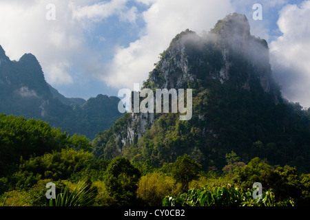 Nebbia di foresta pluviale indugia nella formazione carsica di Khao Sok NATIONAL PARK - SURAI THANI PROVENCE, Thailandia Foto Stock