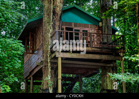 TREE CASE sono la specialità del nostro JUNGLE HOUSE Khao Sok NATIONAL PARK - SURATHANI PROVENCE, Thailandia Foto Stock