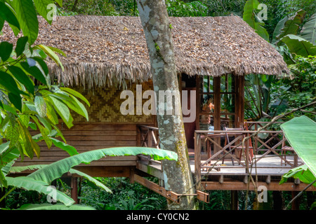 TREE CASE sono la specialità del nostro JUNGLE HOUSE Khao Sok NATIONAL PARK - SURATHANI PROVENCE, Thailandia Foto Stock