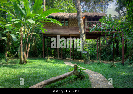 TREE CASE sono la specialità del nostro JUNGLE HOUSE Khao Sok NATIONAL PARK - SURATHANI PROVENCE, Thailandia Foto Stock