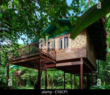 TREE CASE sono la specialità del nostro JUNGLE HOUSE Khao Sok NATIONAL PARK - SURATHANI PROVENCE, Thailandia Foto Stock
