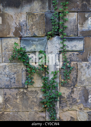 Vista in dettaglio, la parete del cimitero storico di Weimar, Turingia Foto Stock