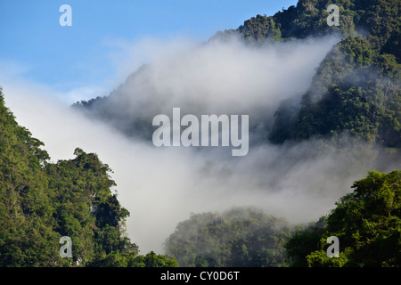 Nebbia di foresta pluviale indugia nella formazione carsica in Khao Sok NATIONAL PARK - SURAI THANI PROVENCE, Thailandia Foto Stock