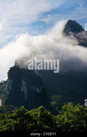 Nebbia di foresta pluviale indugia nella formazione carsica in Khao Sok NATIONAL PARK - SURAI THANI PROVENCE, Thailandia Foto Stock