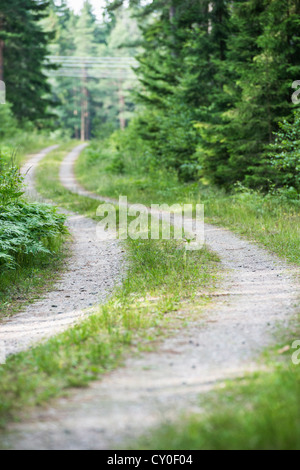 Svuotare strada di ghiaia persistente attraverso la foresta Foto Stock