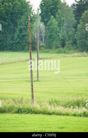 Pali del telefono verde e terreno coltivato in Svezia Foto Stock