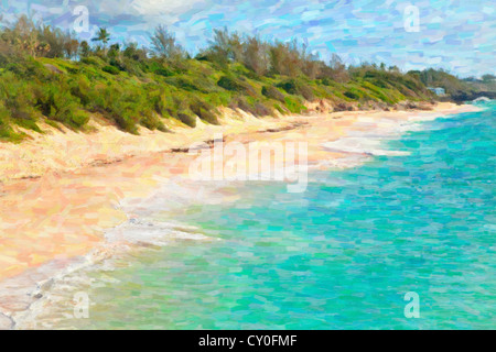La lunga distesa di Warwick Long Bay Beach, Bermuda Foto Stock