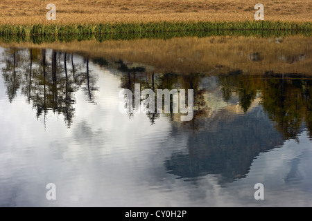 Riflessi nel lago di Dre, Gran Paradiso NP, Piemonte, Italia Foto Stock