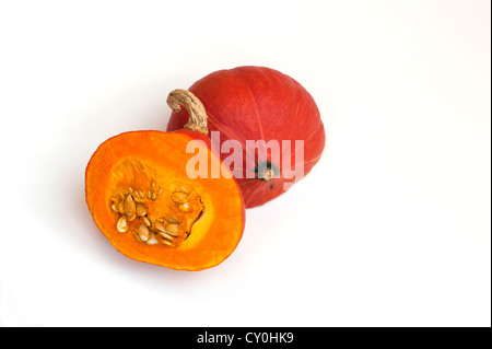 Kuri rosso squash Foto Stock