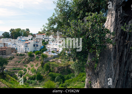 Vista della città, Chefchaouen (Chaouen), Regione Tangeri-Tetouan, Rif Mountains, Marocco, Africa Settentrionale, Africa Foto Stock