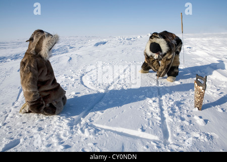 Costruzione di un iglo sul polo nord Foto Stock