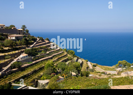 Banyalbufar Serra Tramuntana costa ovest di Maiorca Isole Baleari Spagna Europa Foto Stock