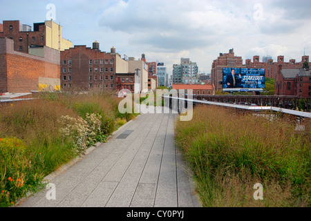 Lussureggiante piantagione lungo il percorso a piedi sulla linea alta che si affaccia sullo skyline di New York fatta di costruzioni vecchie e nuove Foto Stock