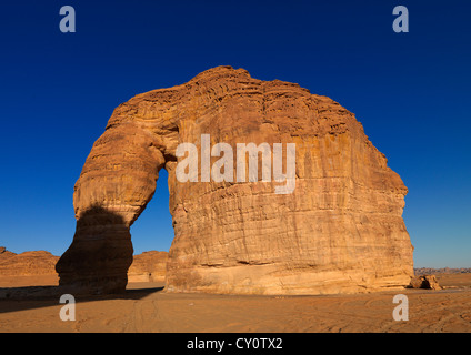 Elephant Rock In Madain Saleh sito archeologico, Arabia Saudita Foto Stock