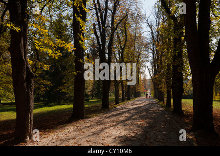 Passeggiate con il cane al Parco Tivoli a Lubiana, capitale della Sloveniam, in una mattina di sole di autunno Foto Stock