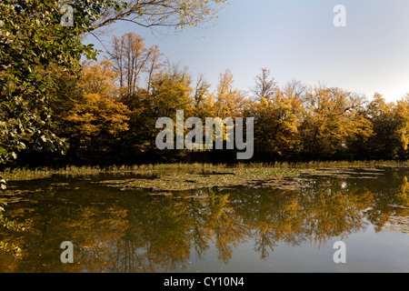 Lago nel Parco Tivoli a Lubiana. Tivoli Park è la capitale della Slovenia il più grande parco Foto Stock