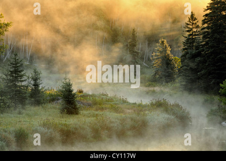 Le nebbie di mattina su Svincolo Creek, maggiore Sudbury, Ontario, Canada Foto Stock