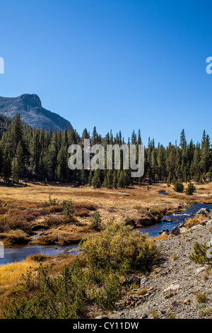 Lee Vining Creek appena al di sotto di Ellery lago lungo la California highway 120 Il Tioga pass nel Parco Nazionale di Yosemite Autunno 2012 Foto Stock