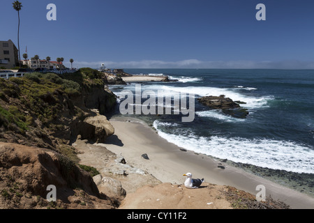 Costa californiana a La Jolla, California del sud in cerca di una piscina per bambini. Foto Stock