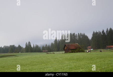 Piccolo villaggio vicino a Wallgau nella nebbia mattutina, Bavaria Foto Stock