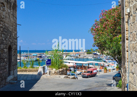 Il porto della città fenicia di Byblos, Libano, abitato ininterrottamente per più di 7000 anni. Foto Stock